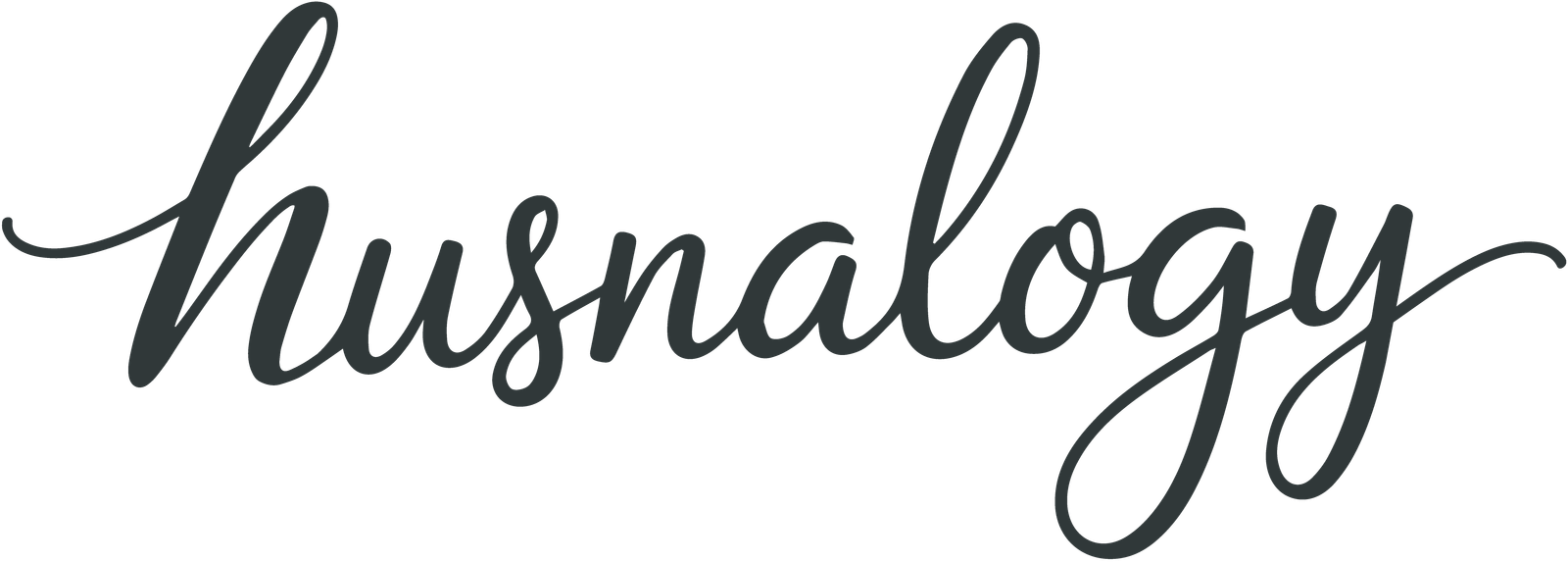 Husnalogy Logo